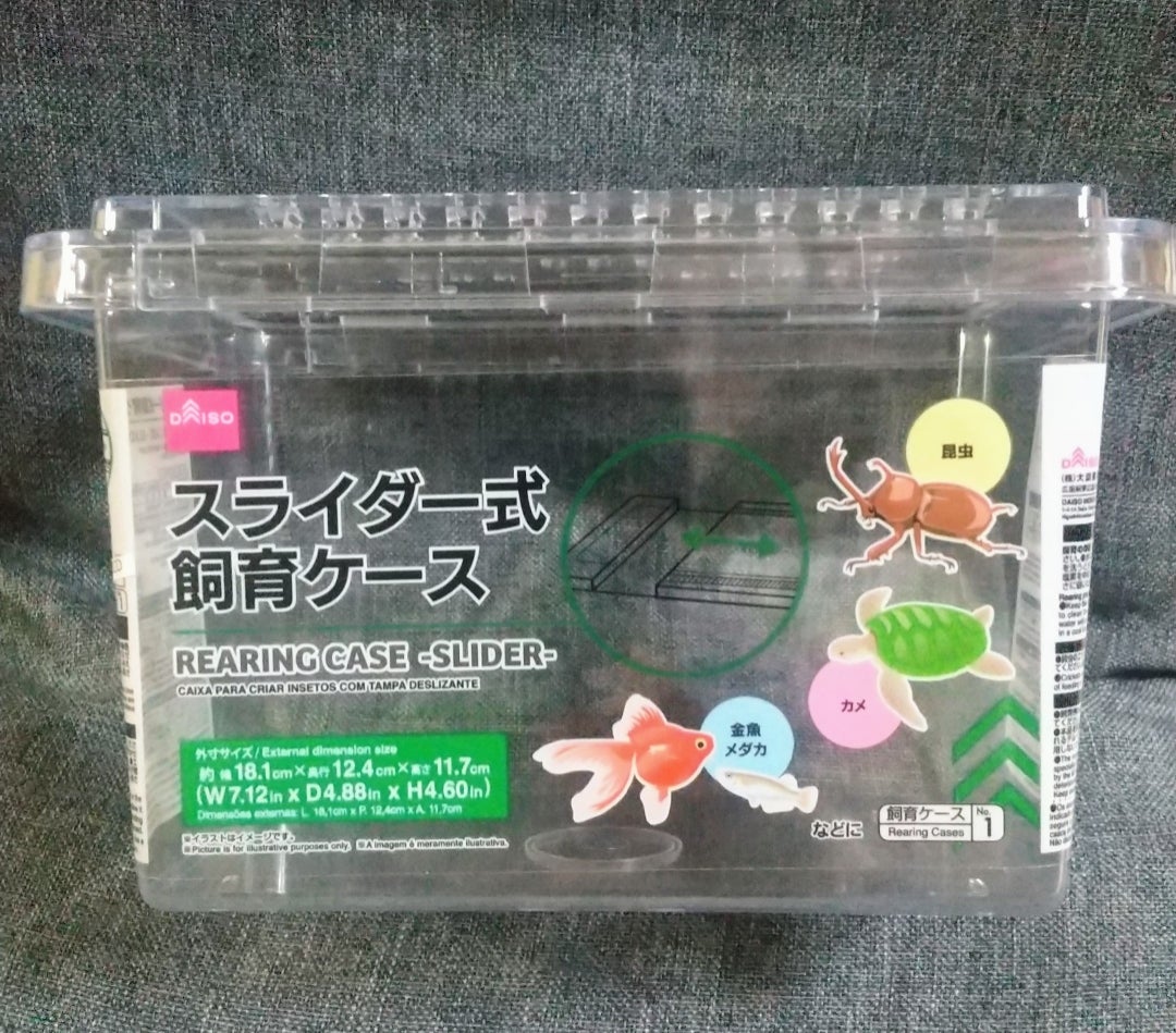 Daiso Rearing Case Slider Container for Isopods